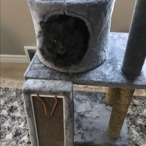 Meet your Posher, Kari